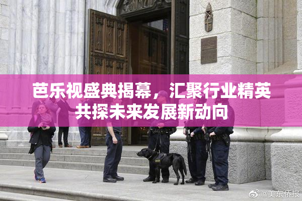 芭乐视盛典揭幕，汇聚行业精英共探未来发展新动向