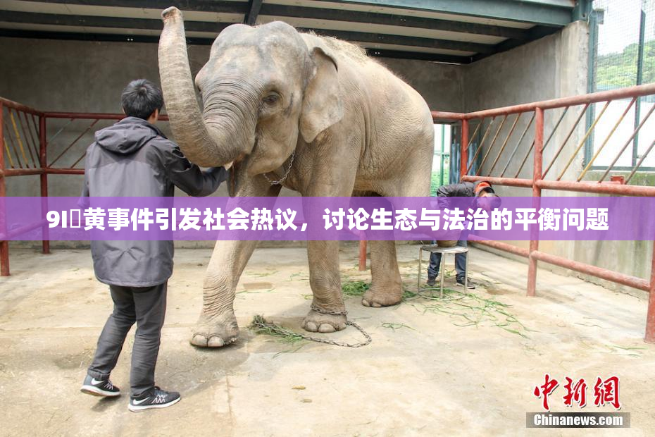 9I婬黄事件引发社会热议，讨论生态与法治的平衡问题