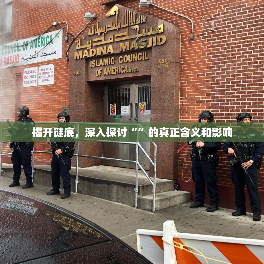 揭开谜底，深入探讨“”的真正含义和影响