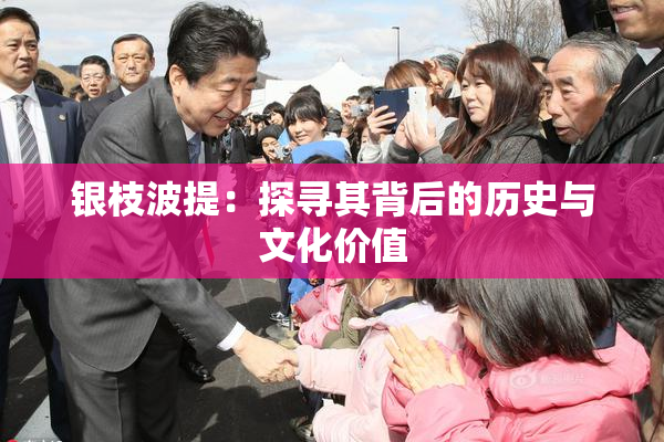 银枝波提：探寻其背后的历史与文化价值