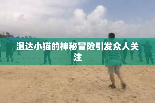 温达小猫的神秘冒险引发众人关注