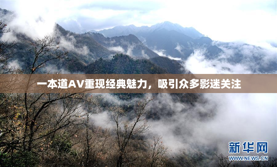 一本道AV重现经典魅力，吸引众多影迷关注