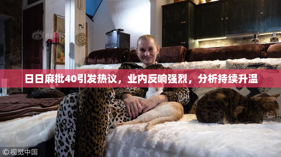 日日麻批40引发热议，业内反响强烈，分析持续升温