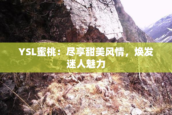YSL蜜桃：尽享甜美风情，焕发迷人魅力