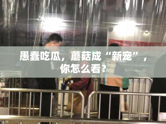愚蠢吃瓜，蘑菇成“新宠”，你怎么看？