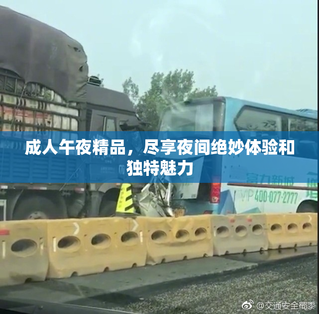 成人午夜精品，尽享夜间绝妙体验和独特魅力