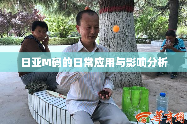 日亚M码的日常应用与影响分析