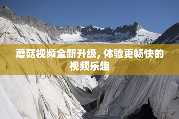 蘑菇视频全新升级, 体验更畅快的视频乐趣