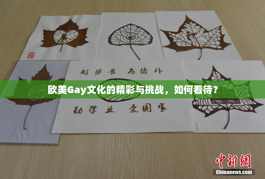 欧美Gay文化的精彩与挑战，如何看待？
