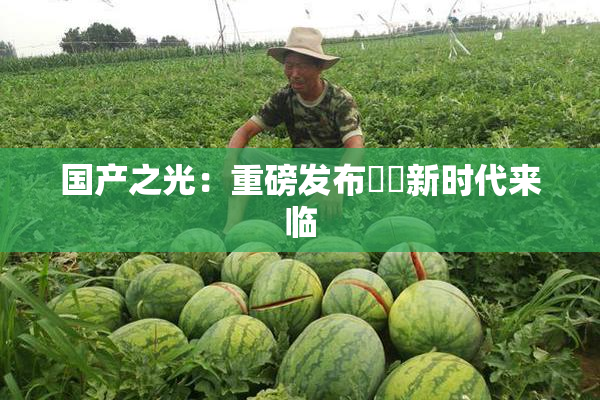国产之光：重磅发布❌‌新时代来临