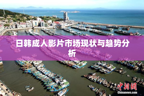 日韩成人影片市场现状与趋势分析