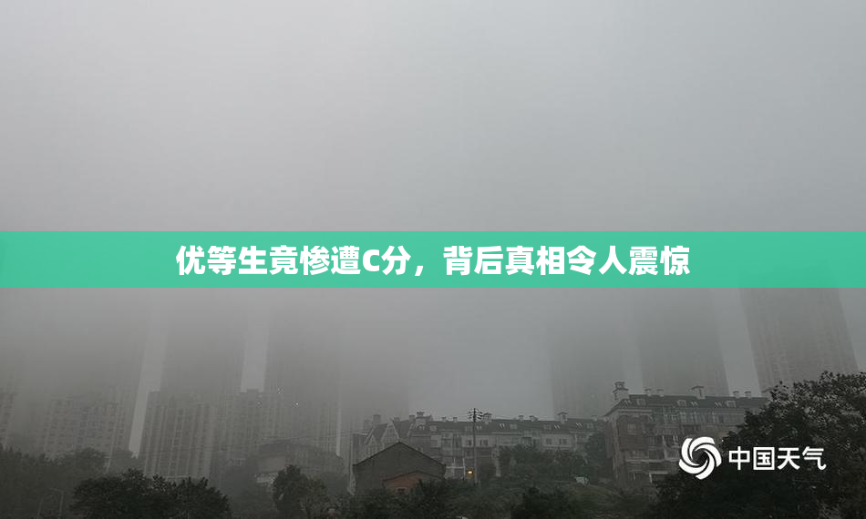 优等生竟惨遭C分，背后真相令人震惊