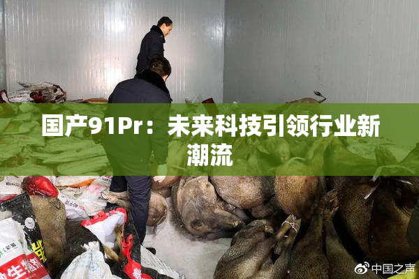 国产91Pr：未来科技引领行业新潮流