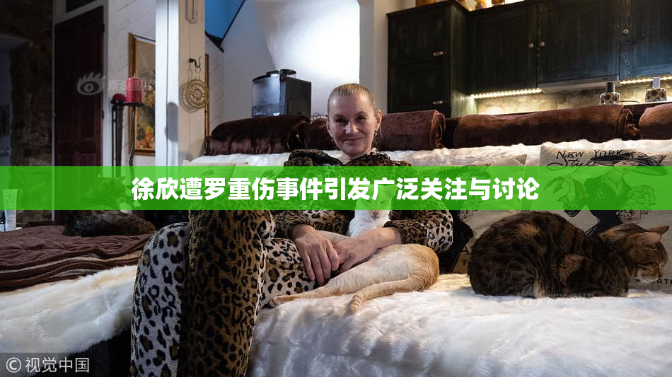 徐欣遭罗重伤事件引发广泛关注与讨论