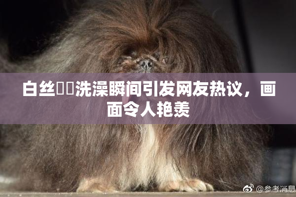 白丝妺妺洗澡瞬间引发网友热议，画面令人艳羡