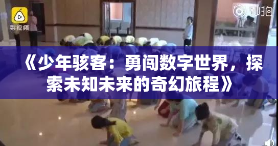 《少年骇客：勇闯数字世界，探索未知未来的奇幻旅程》