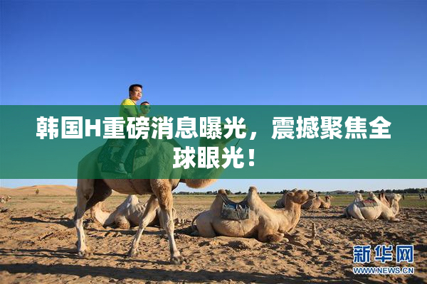 韩国H重磅消息曝光，震撼聚焦全球眼光！