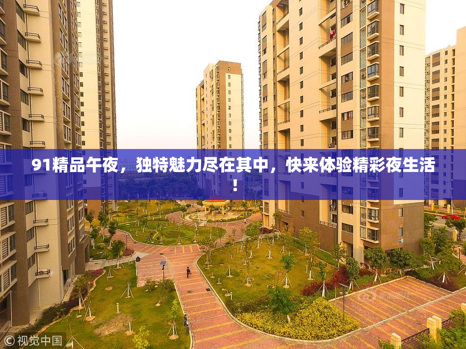91精品午夜，独特魅力尽在其中，快来体验精彩夜生活！