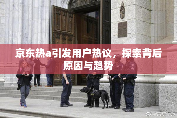 京东热a引发用户热议，探索背后原因与趋势