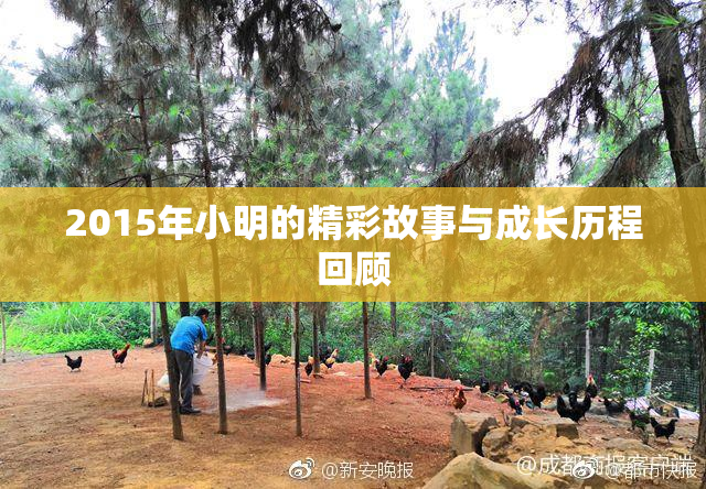 2015年小明的精彩故事与成长历程回顾