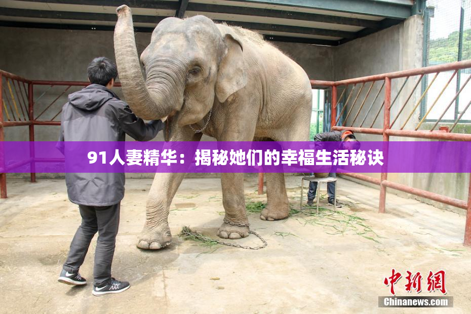 91人妻精华：揭秘她们的幸福生活秘诀