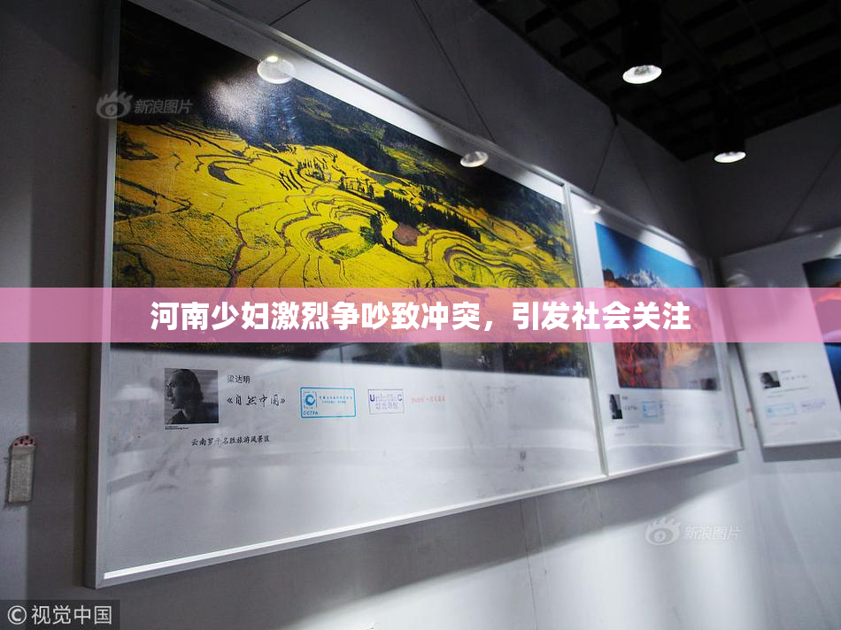 河南少妇激烈争吵致冲突，引发社会关注