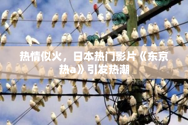 热情似火，日本热门影片《东京热a》引发热潮