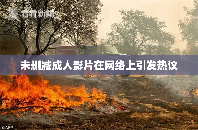 未删减成人影片在网络上引发热议