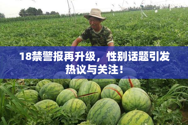 18禁警报再升级，性别话题引发热议与关注！