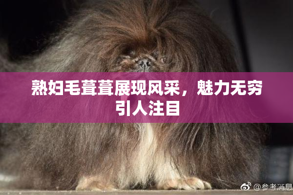熟妇毛葺葺展现风采，魅力无穷引人注目