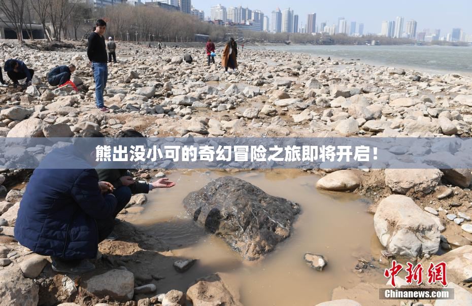 熊出没小可的奇幻冒险之旅即将开启！