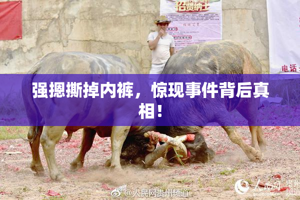 强摁撕掉内裤，惊现事件背后真相！