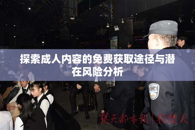 探索成人内容的免费获取途径与潜在风险分析
