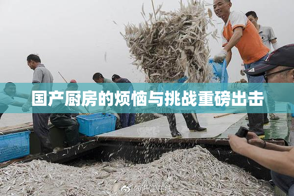 国产厨房的烦恼与挑战重磅出击