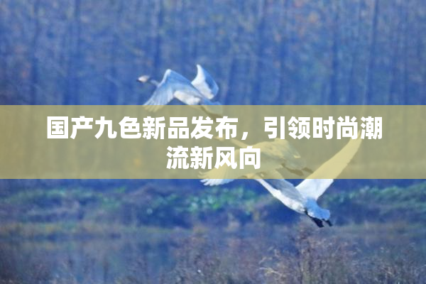 国产九色新品发布，引领时尚潮流新风向