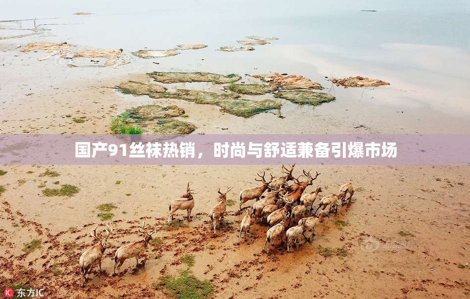国产91丝袜热销，时尚与舒适兼备引爆市场