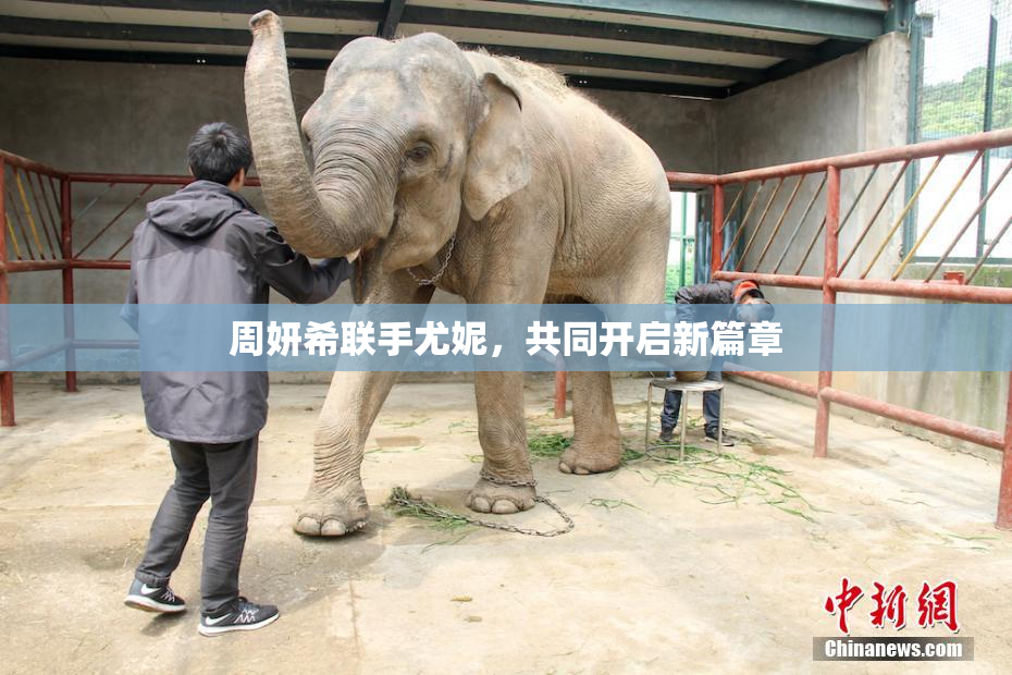 周妍希联手尤妮，共同开启新篇章