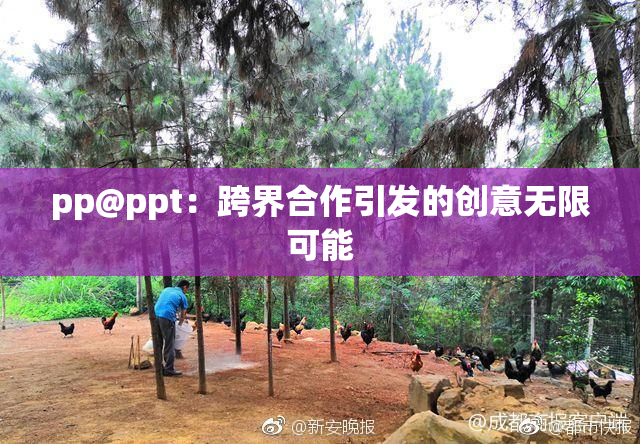 pp@ppt：跨界合作引发的创意无限可能