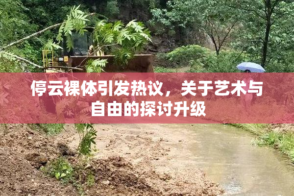 停云裸体引发热议，关于艺术与自由的探讨升级