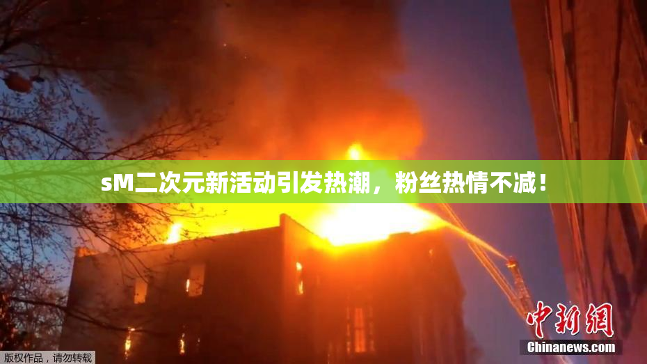 sM二次元新活动引发热潮，粉丝热情不减！
