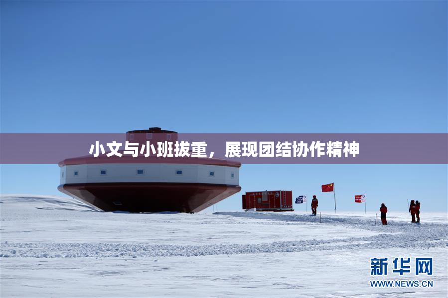 小文与小班拔重，展现团结协作精神