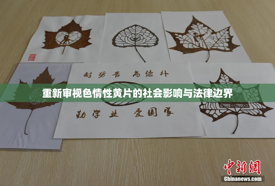 重新审视色情性黄片的社会影响与法律边界