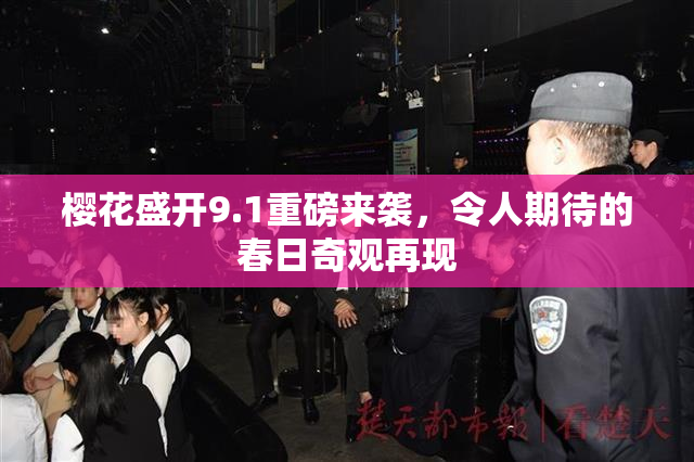樱花盛开9.1重磅来袭，令人期待的春日奇观再现