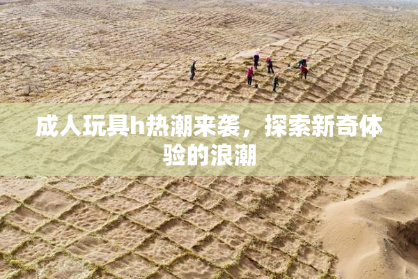 成人玩具h热潮来袭，探索新奇体验的浪潮