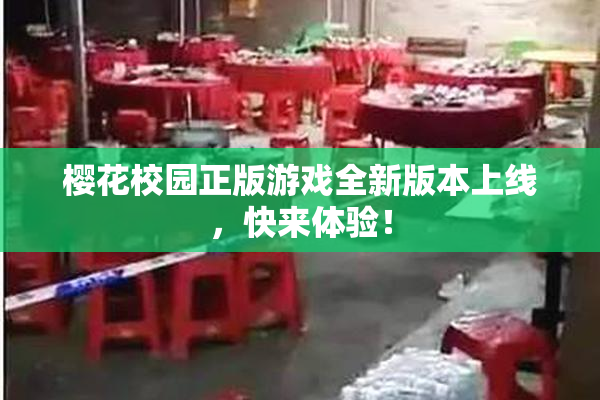 樱花校园正版游戏全新版本上线，快来体验！
