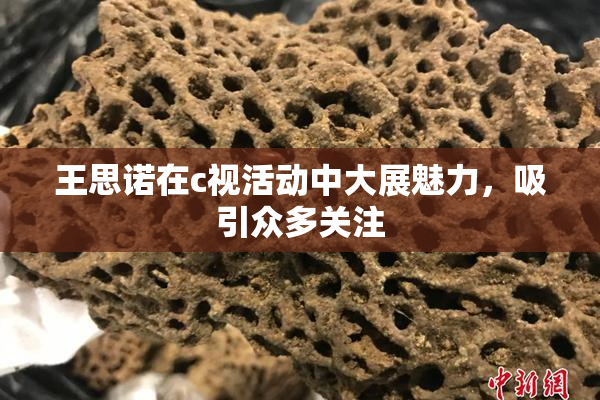 王思诺在c视活动中大展魅力，吸引众多关注