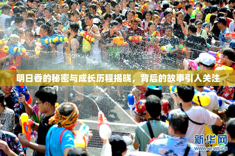 明日香的秘密与成长历程揭晓，背后的故事引人关注