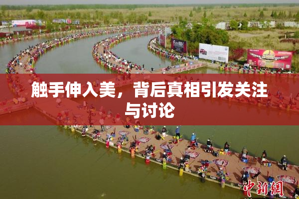 触手伸入美，背后真相引发关注与讨论