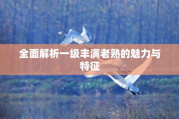 全面解析一级丰满老熟的魅力与特征