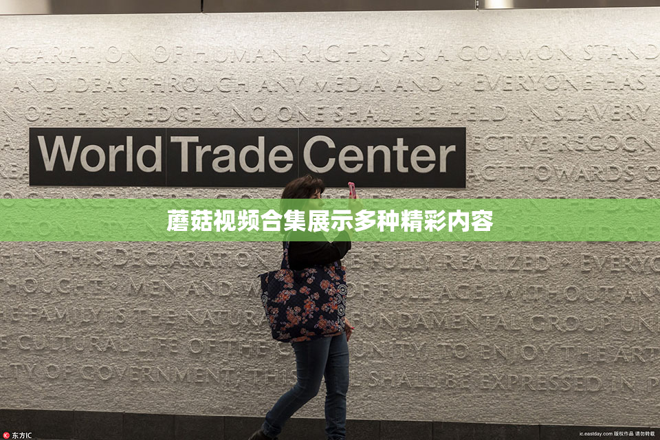 蘑菇视频合集展示多种精彩内容
